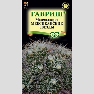 Маммиллярия Камптотриха Мексиканские звезды