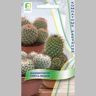 Маммилярия Смесь видов
