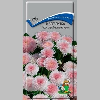 Маргаритка Тассо стробери энд крим