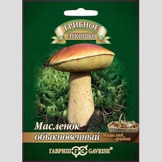 Грибы - Масленок на зерновом субстрате (мицелий) 15мл (большой пакет)