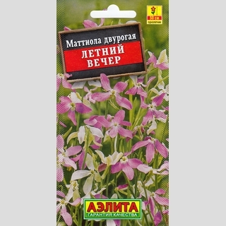 Маттиола Летний вечер