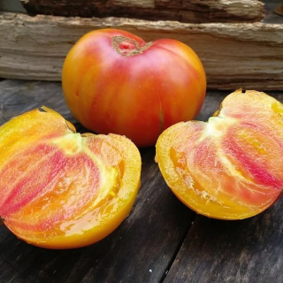 Томат Медовый салют