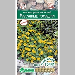 Меламподиум Масляные Ромашки