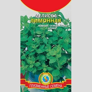Мелисса лимонная
