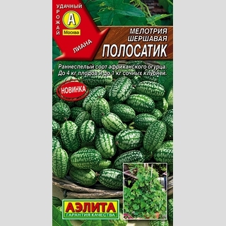 Мелотрия Полосатик (Мышиная дыня)