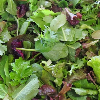 Смесь салатных культур Мескулин