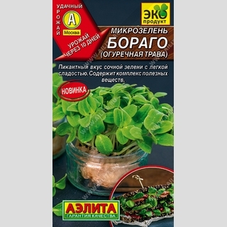 Микрозелень Бораго (огуречная трава)