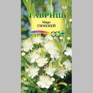 Мирт Гименей