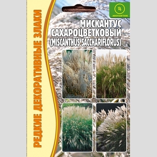 Мискантус сахароцветный (большой пакет)