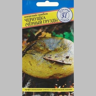 Грибы - Чернушка (Черный груздь), 60 мл (мицелий)