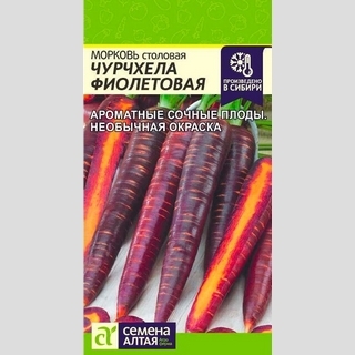 Морковь Чурчхела Фиолетовая