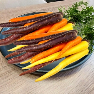 Морковь Детская грядка Радуга