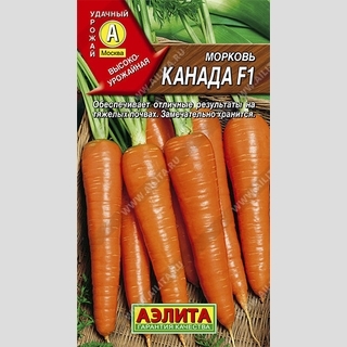Морковь Канада F1