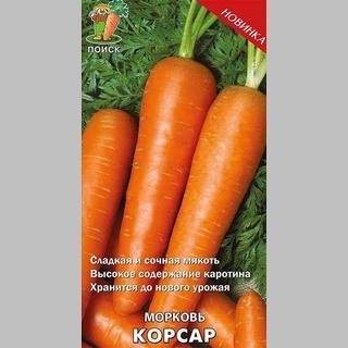 Морковь Корсар