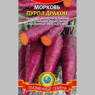 Морковь Пурпл Дракон