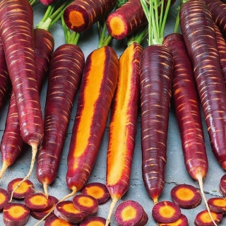 Морковь Шоколадный заяц F1