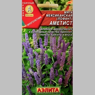 Мята Аметист (мексиканская)
