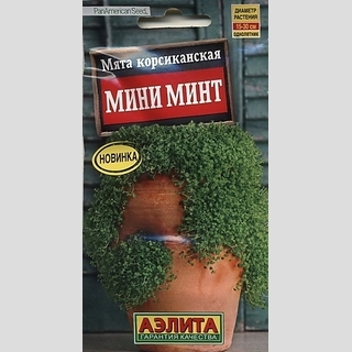 Мята Мини минт корсиканская