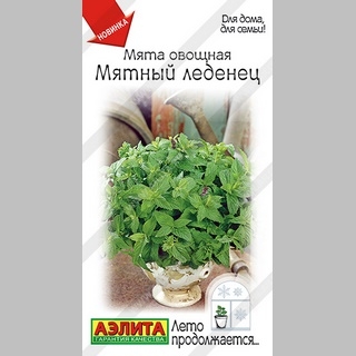 Мята Мятный леденец