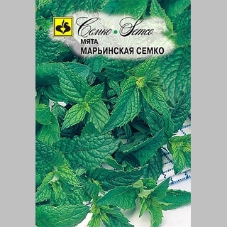 Мята Марьинская Семко (перечная)