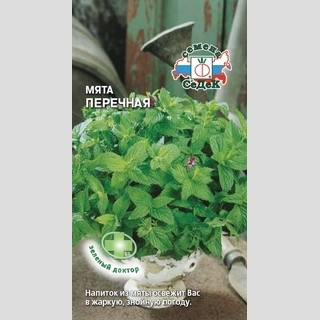 Мята Перечная