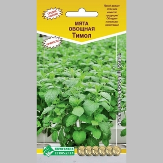 Мята Тимол овощная