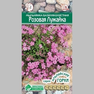 Мыльнянка Розовая лужайка базиликолистная