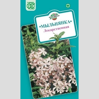 Мыльнянка Лекарственная