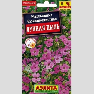 Мыльнянка Лунная пыль базиликолистная