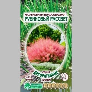 Мюленбергия Рубиновый Рассвет волосовидная