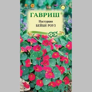 Настурция Бейби роуз