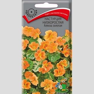 Настурция низкорослая Аляска золотая