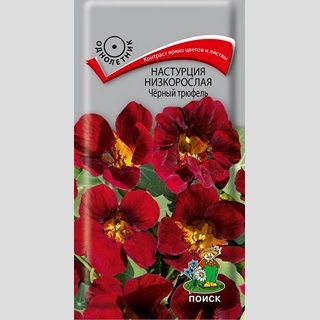 Настурция Чёрный трюфель низкорослая