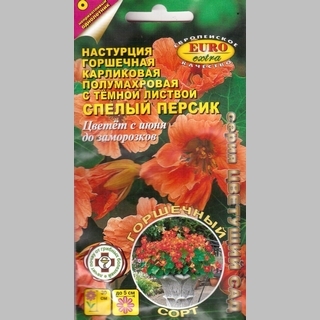 Настурция Спелый персик