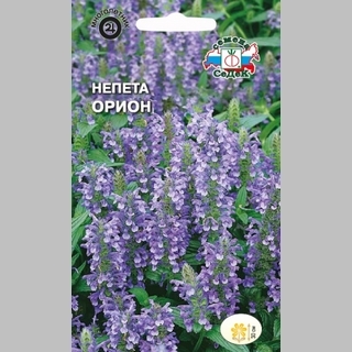 Непета Орион