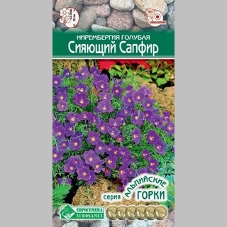 Нирембергия Сияющий Сапфир голубая