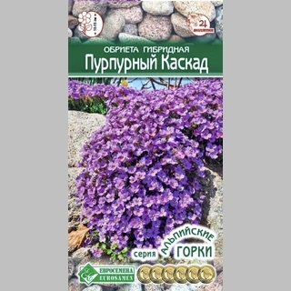 Обриета Пурпурный Каскад гибридная