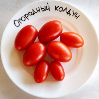 Томат Огородный Колдун