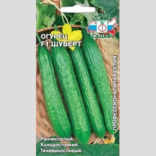Огурец Шуберт ® F1