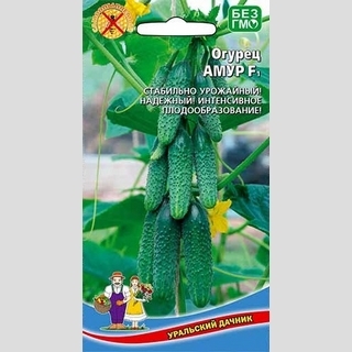 Огурец Амур F1