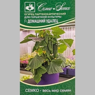 Огурец Домашний Удалец F1