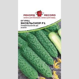 Огурец Эксельсиор F1
