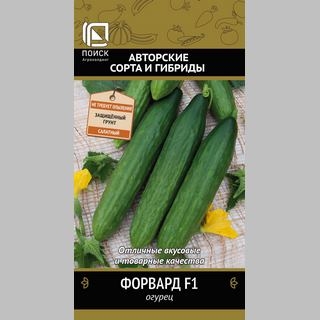 Огурец Форвард F1