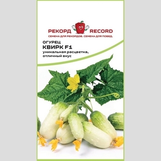 Огурец Квирк F1 (Rijk Zwaan)