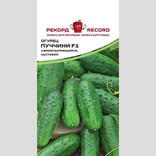 Огурец Пуччини F1