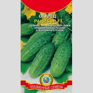 Огурец Рацибор F1