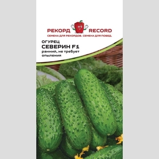 Огурец Северин F1