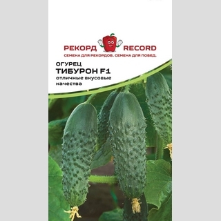 Огурец Тибурон F1
