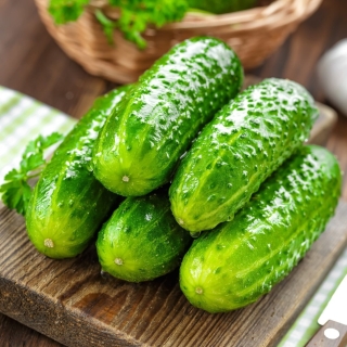 Огурец Зеленый спецназ F1