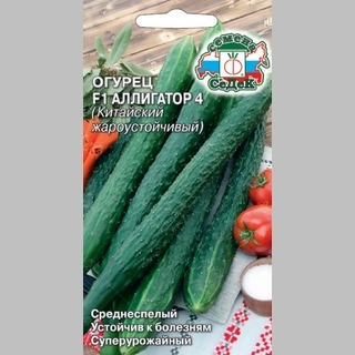 Огурец Аллигатор 4 F1